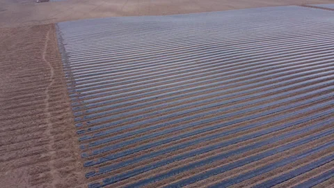 System of drip irrigation of fields Video stock 274717865