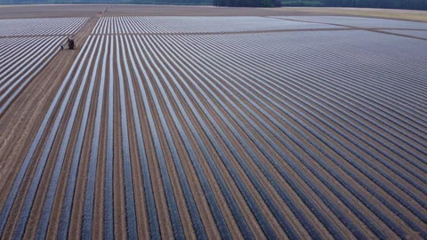 System of drip irrigation of fields Video stock 274718573