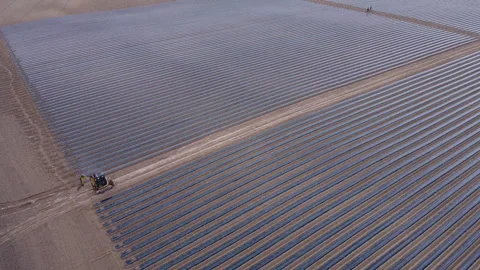 System of drip irrigation of fields Stock Footage 274719033