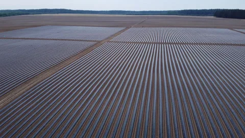 System of drip irrigation of fields Stock Footage 274719882