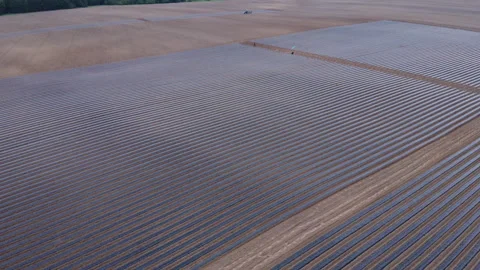 System of drip irrigation of fields Vidéo 274729530