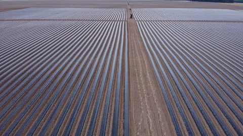 System of drip irrigation of fields 스톡 동영상 274730864