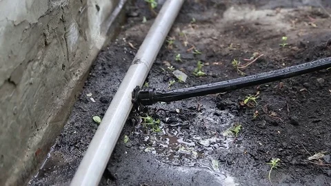 System of drip irrigation Vídeo Stock 73851046