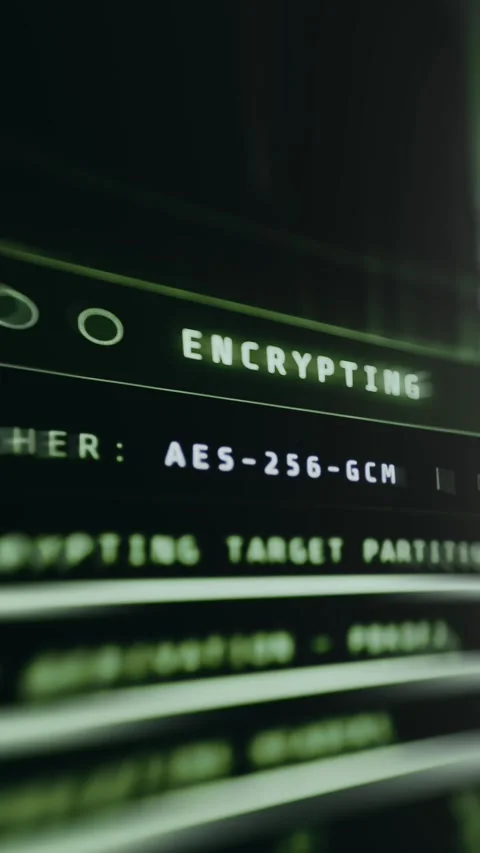 System executing secure data encryption Stock Footage 334933454