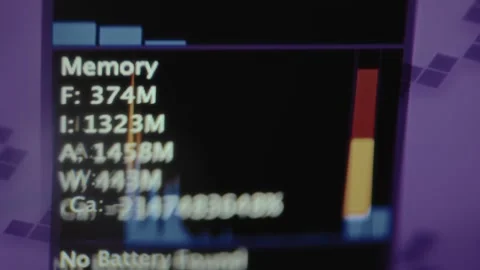 System memory statistics from a computer program with categories Free, Inactive 스톡 동영상 327914143