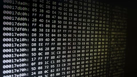 System Numbers Code On Black Background Video stock 240007158