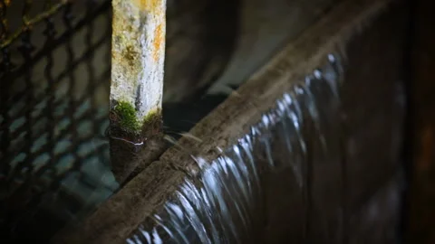 The system of pouring water into the pools for fish. Aquaculture industry 스톡 동영상 104514955