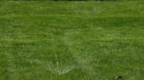 The System Of Rain Watering The Lawn Stock Footage 51819376