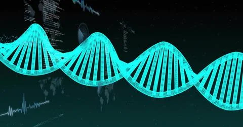 System starting wireframe double-helix brightening, sliding and revealing Illustrazione stock