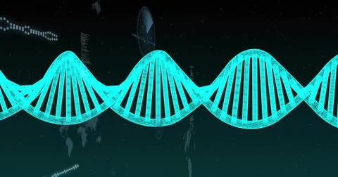 System starting wireframe double-helix brightening, sliding and revealing Stock Illustration