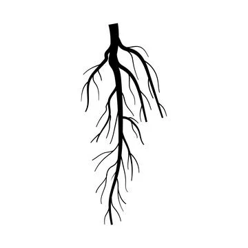 System tree root cartoon vector illustration Stock Illustration