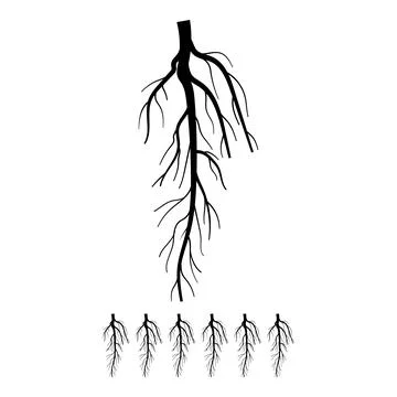 System tree root cartoon vector graphic Stock Illustration