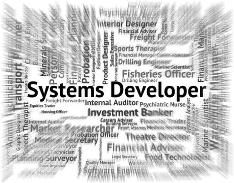 Systems Developer Indicates Developing Expert And Employment Illustrazione stock