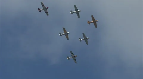 T-6 Texan Formation Fly By 動画素材 41781970