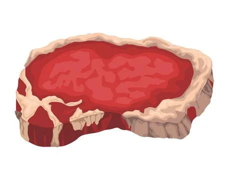 T bone beef cut Stock Illustration