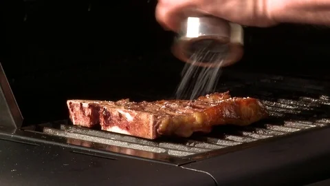 T-Bone Salt and Pepper Stock Footage 85315552
