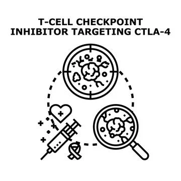T cell checkpoint inhibitor targeting ctla 4 treatment concept Stock Illustration