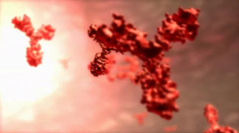 T cell of human antibody, microscopic. Stock Footage 61322205