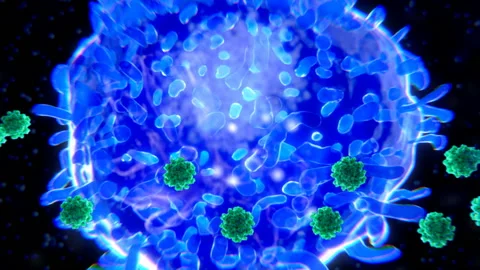 T cell targeting SARS-CoV-2 viruses. Stock Footage 131776750