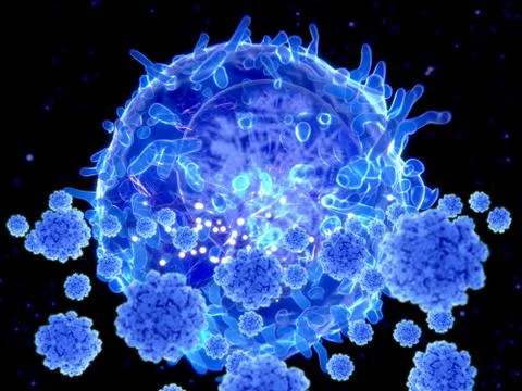 T cell targeting SARS-CoV-2 viruses Stock Illustration