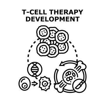 T cell therapy developing process with medical technology Stock Illustration