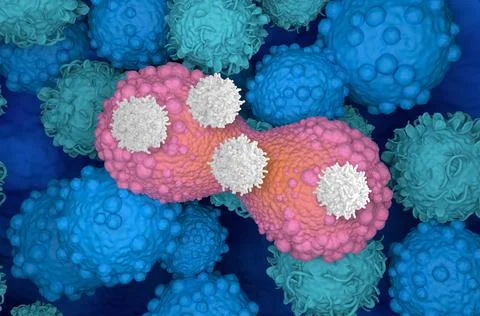 T-cells attack dividing breast cancer cell 3d illustration Ilustração Stock