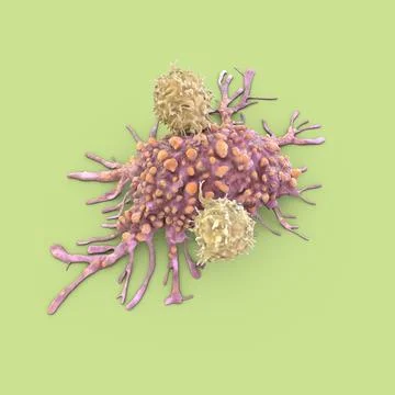 T Cells Attacking Cancer 3D Model