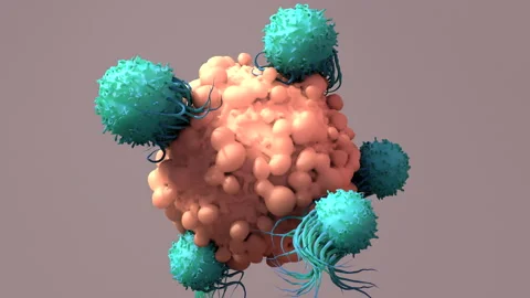 T-cells attacking cancer cell Stock Footage 178656377