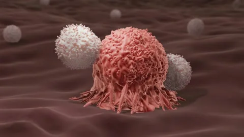 T-cells attacking A cancer cell Stock Footage 213988291