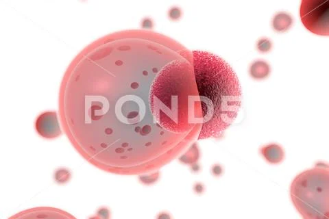 T cells attacking cancer cells, 3D illustration Stock Illustration