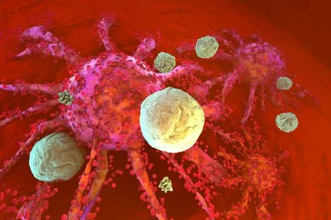 T-Cells of the immune System attacking growing Cancer cells Stock Illustration