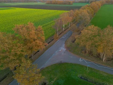 T-Junction Road Markings Surrounding Yellow Mustard Field In Drenthe Stock Photos