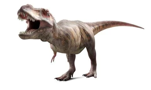 T-Rex, artwork Stock Illustration