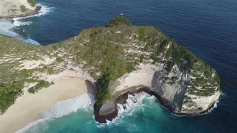 T-Rex cliff move right Stockbeeldmateriaal 329873772