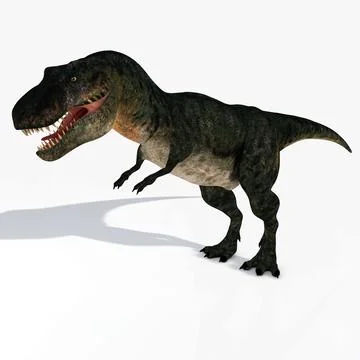 T-Rex Couple 3D Model