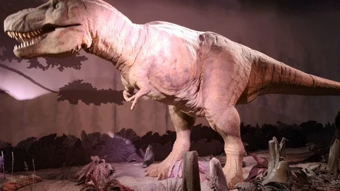 T-Rex Dinosaur Big Model in Movement with Body and Mouth Video stock 128637457
