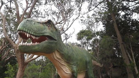 T-rex dinosaur Stock Footage 133215895