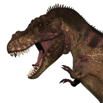T-Rex Dinosaur Head 스톡 일러스트