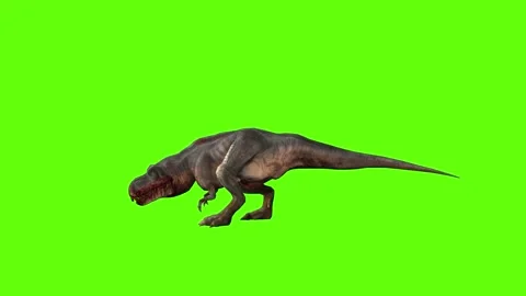 T-rex dinosaur momma bite 90 left green screen animation 3D rendering Stock Footage 280432930