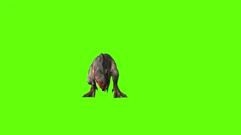 T-rex dinosaur momma bite 90 left green screen animation 3D rendering Stock Footage 280432975