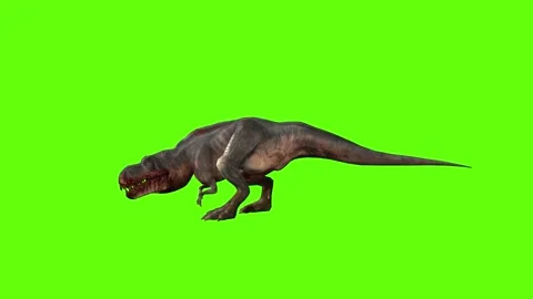 T-rex dinosaur momma bite close left green screen animation 3D rendering Stock Footage 280433011