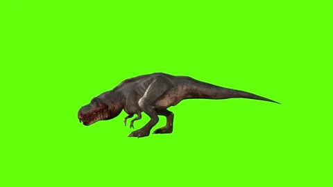 T-rex dinosaur momma bite 90 right green screen animation 3D rendering Stock Footage 280433022