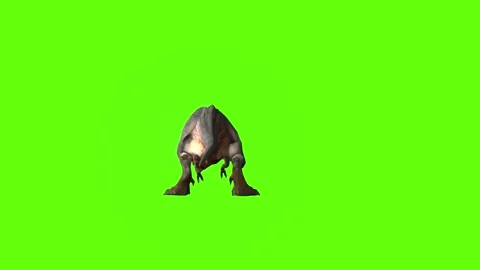 T-rex dinosaur momma bite close right green screen animation 3D rendering Stock Footage 280433157