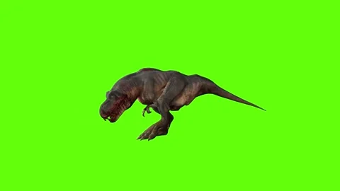 T-rex dinosaur momma bite step back forward green screen animation 3D rendering Stock Footage 280433167