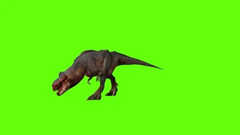 T-rex dinosaur momma chase bite right green screen animation 3D rendering Stock Footage 280433138