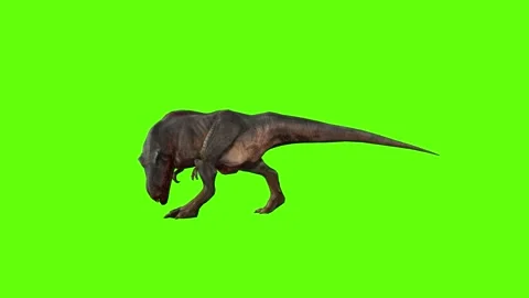T-rex dinosaur momma chase bite left green screen animation 3D rendering Video stock 280433232