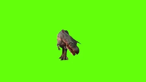 T-rex dinosaur momma chase bite left green screen animation 3D rendering Video stock 280433234