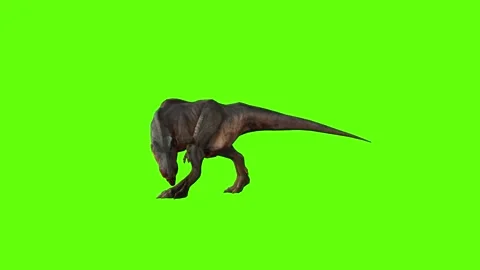 T-rex dinosaur momma chase bite left green screen animation 3D rendering Video stock 280433256