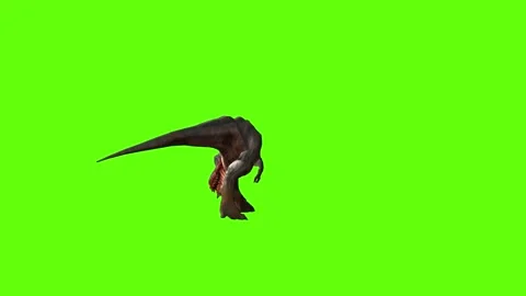 T-rex dinosaur momma chase bite left green screen animation 3D rendering Video stock 280433257