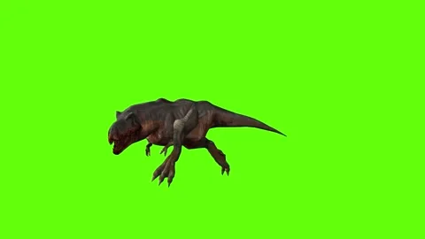 T-rex dinosaur momma chase head butt left  green screen animation 3D rendering Video stock 280433379